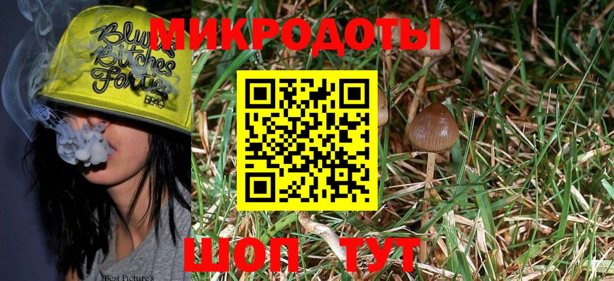 Псилоцибиновые грибы MAGIC MUSHROOMS  Вход с VPN  Новозыбков 
