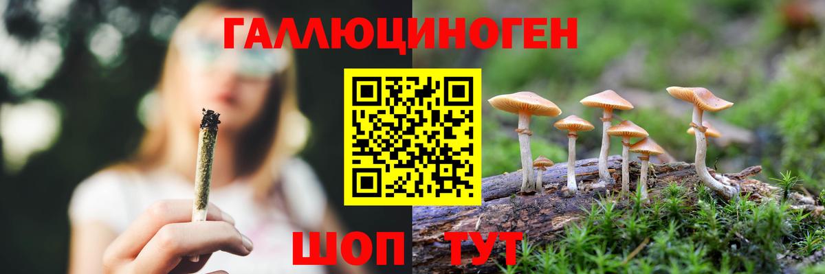 Новозыбков  Конопля  Вход с VPN  COCAIN  ГАШ  ГАШ  Меф кристаллы 
